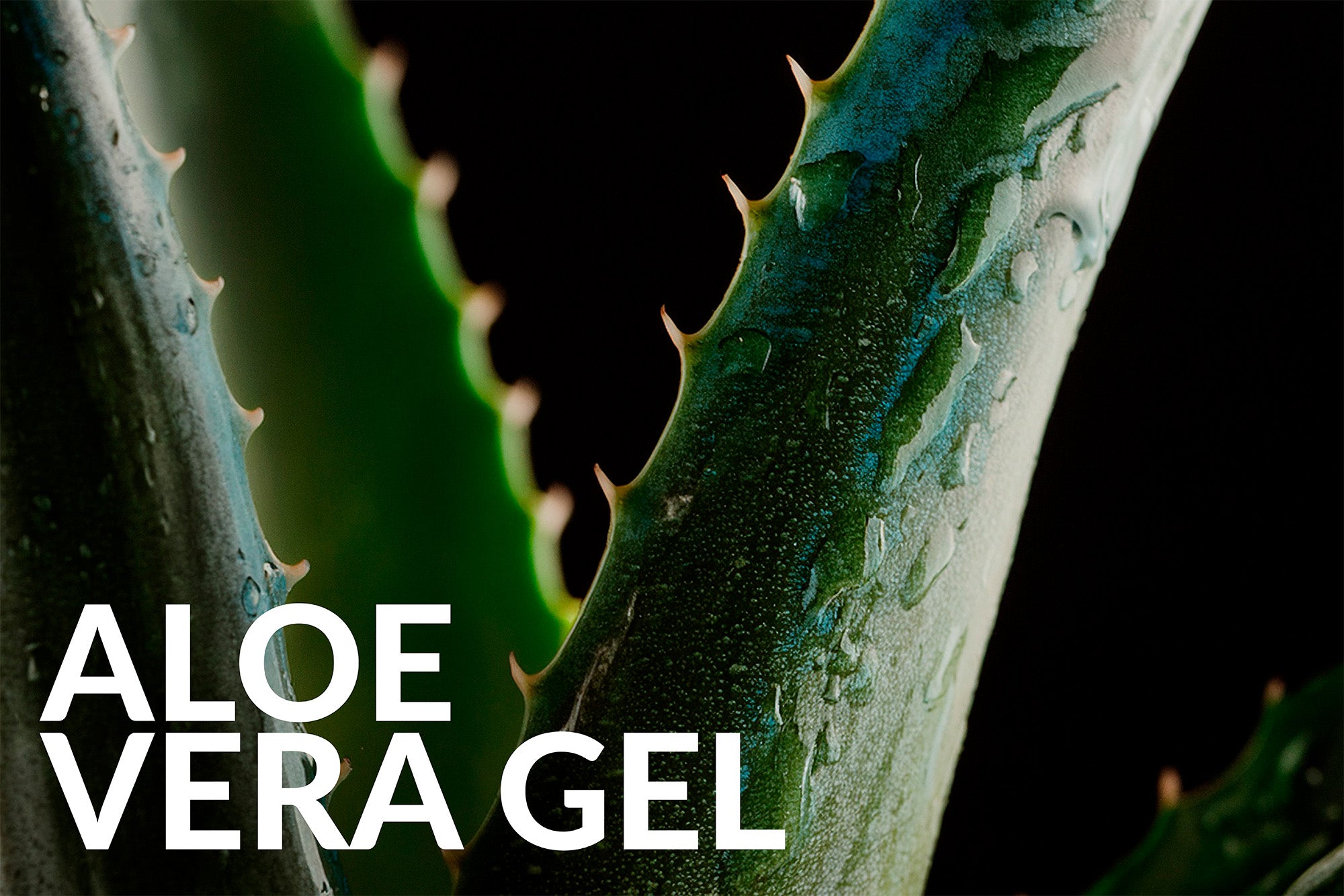 Alov Haukyn – Aloe Vera DMSO Körpergel