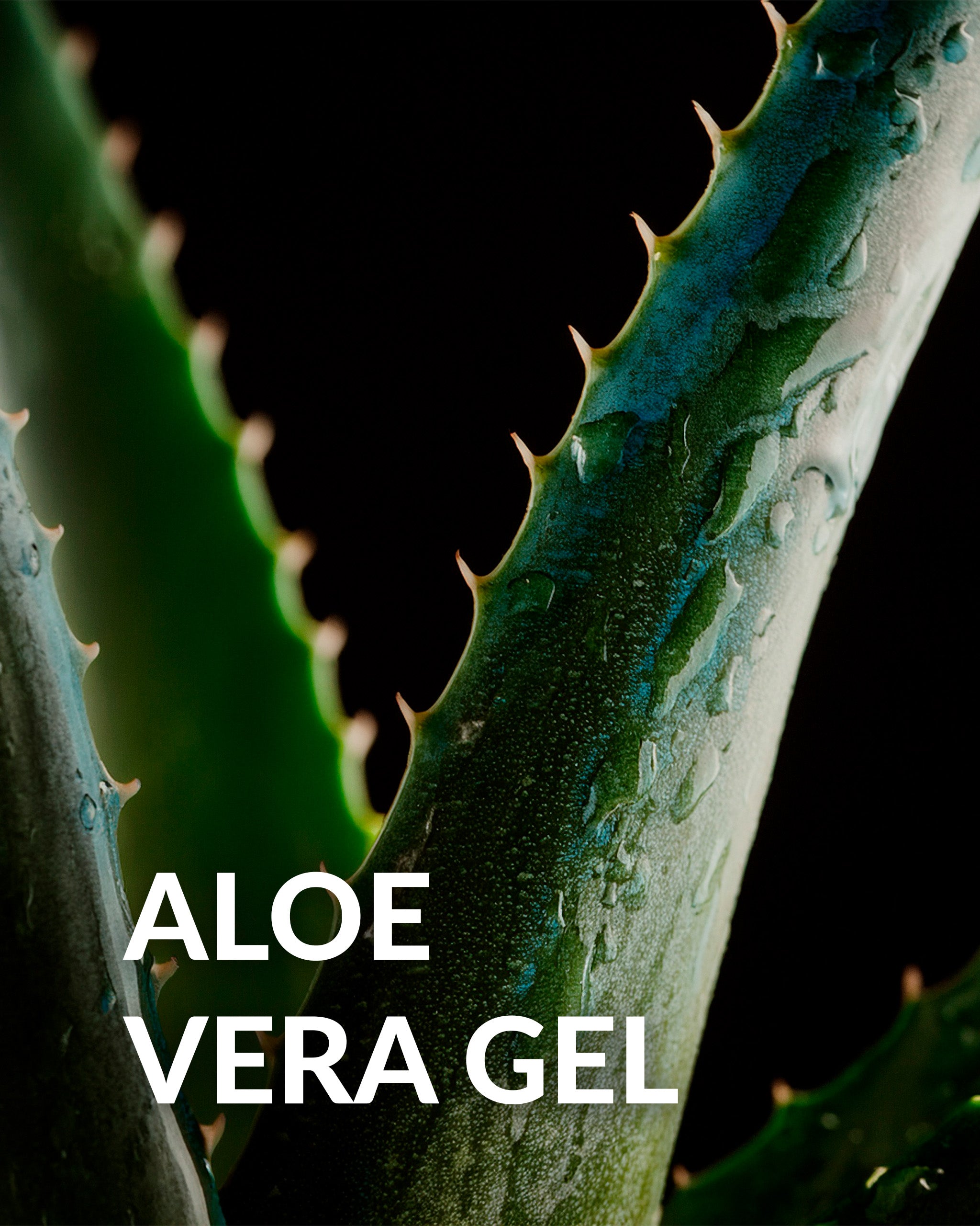 Alov Haukyn – Aloe Vera DMSO Körpergel (50ml)