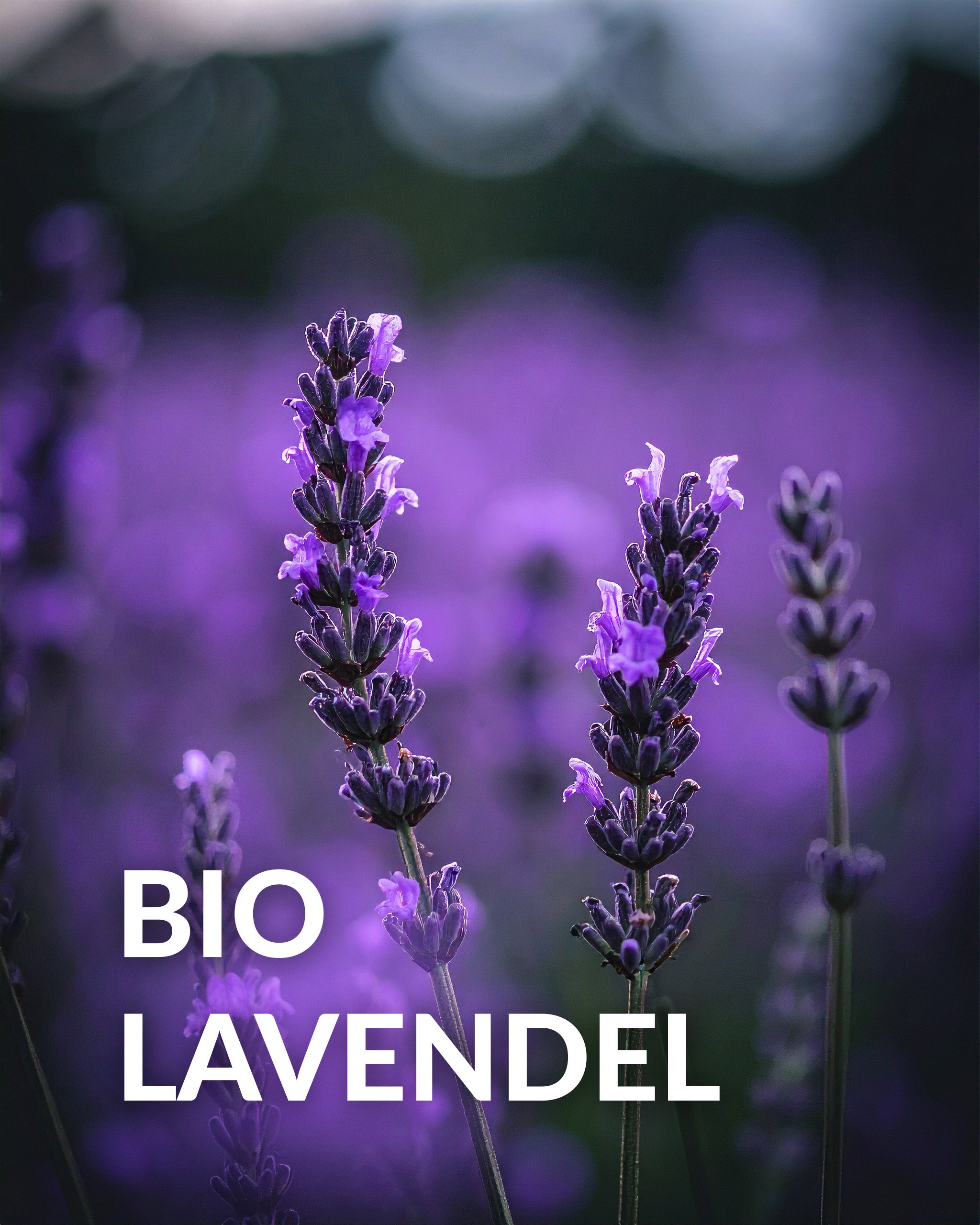 Lunar Elixyr 27 – Nachtserum (30ml)