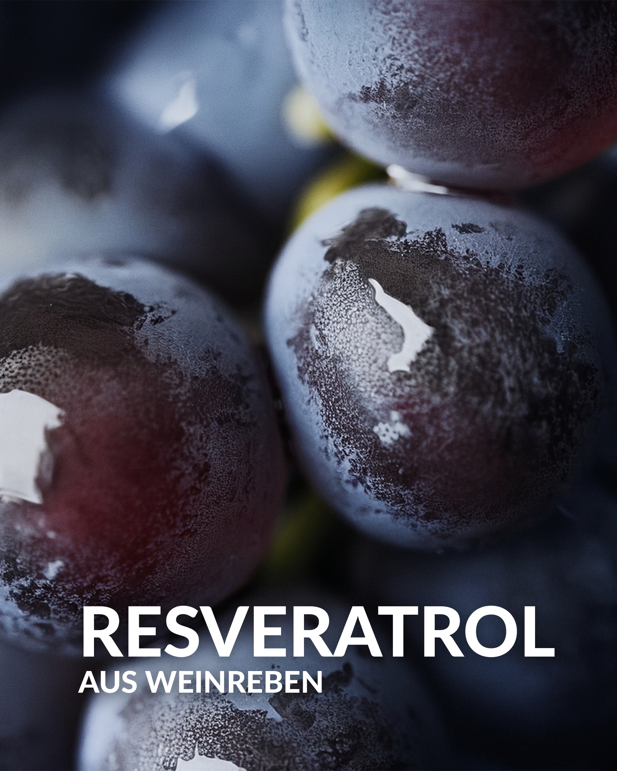 Auril Sylk – Tagesgel für Frauen (30ml)