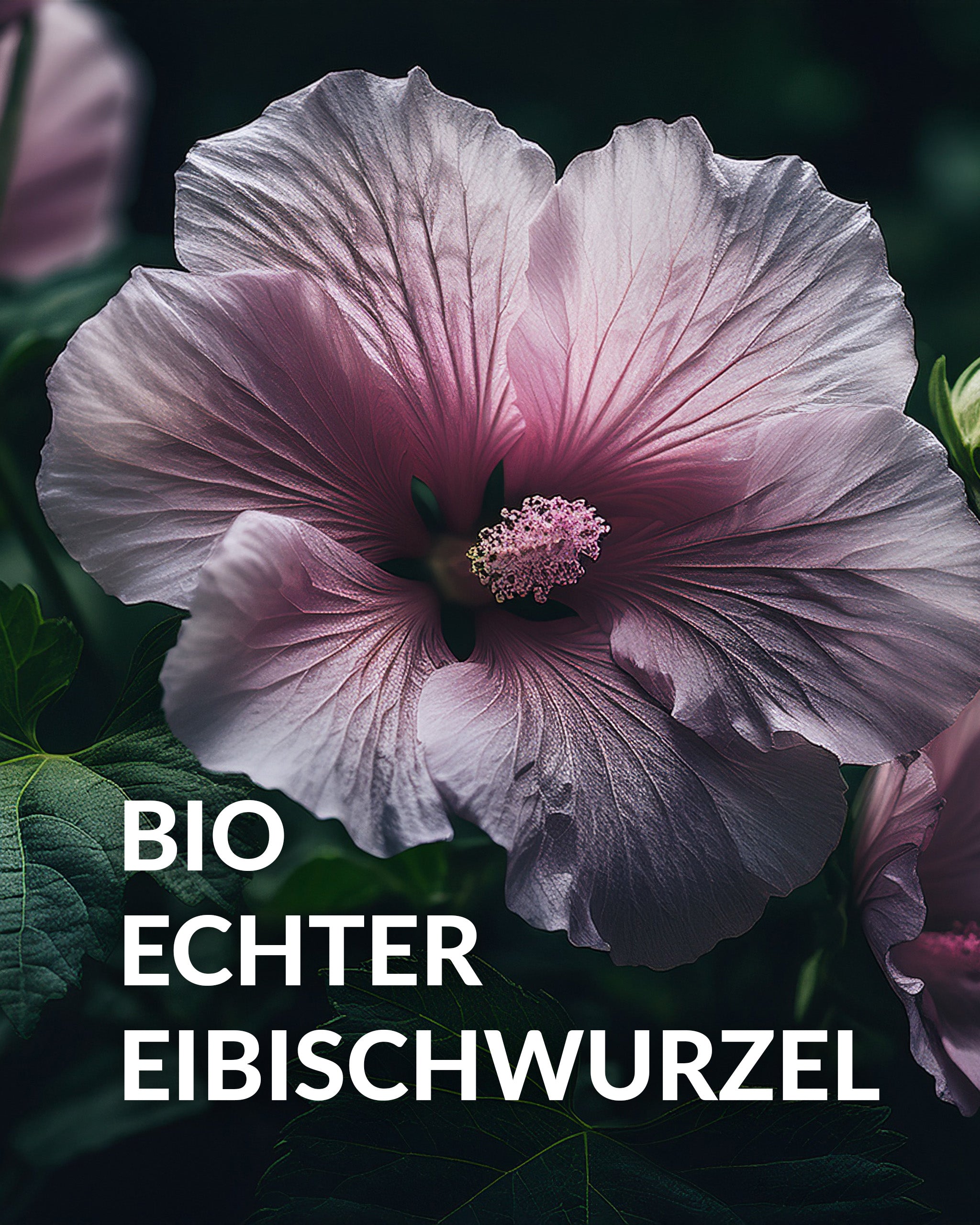 Freya Arctys - Befreiendes Frischespray (30ml)