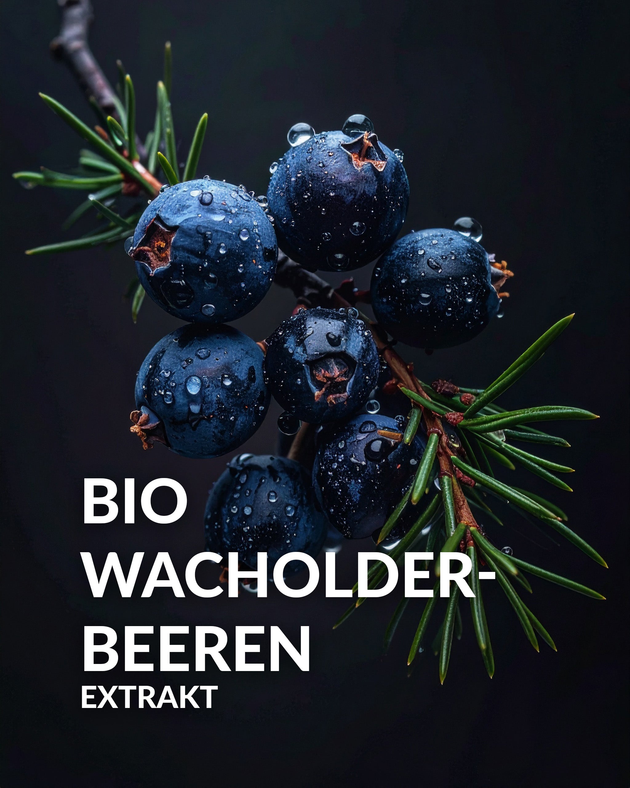 Baert Aycon - Gesichtscreme mit Aloe Vera & DMSO